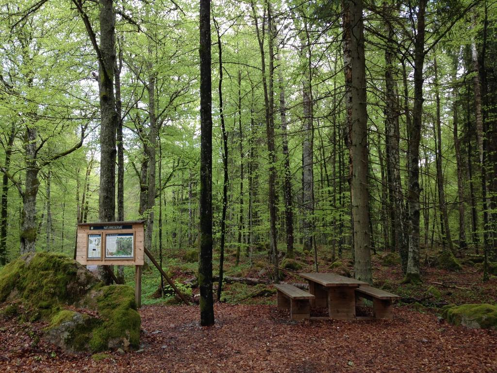 Stf Regnagarden Hostel Экстерьер фото
